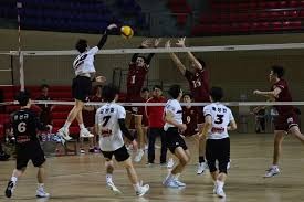 足球——亚冠精英联赛：上海申花无缘八强